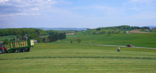 Galerie